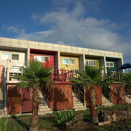 Clover B&B Seogwipo Extérieur photo