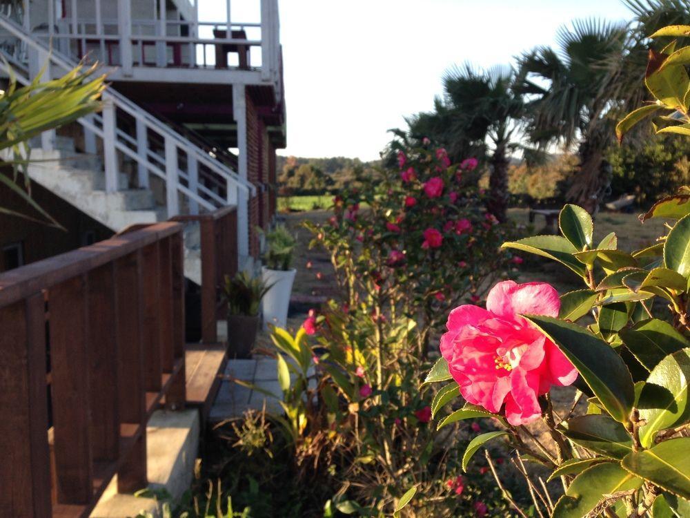 Clover B&B Seogwipo Extérieur photo